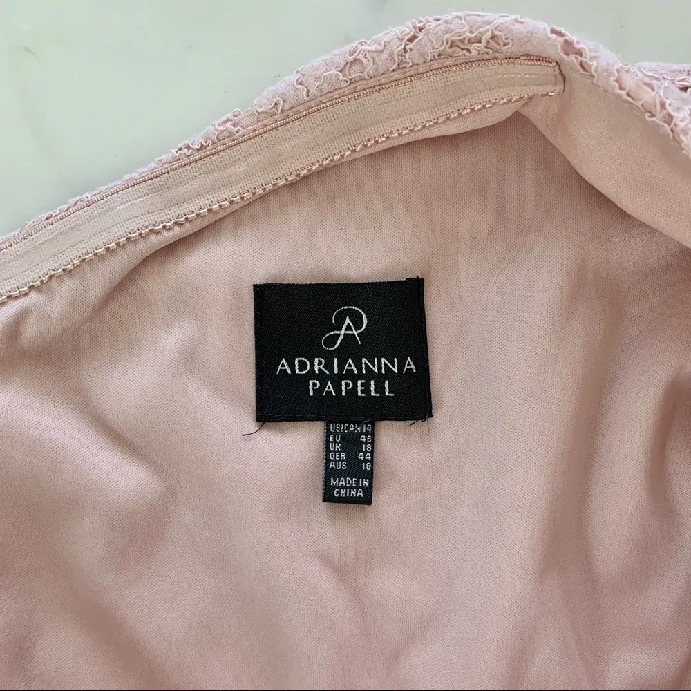 Adrianna Papell Pink Lace Chiffon Dress | Sz L/14 - Image 11