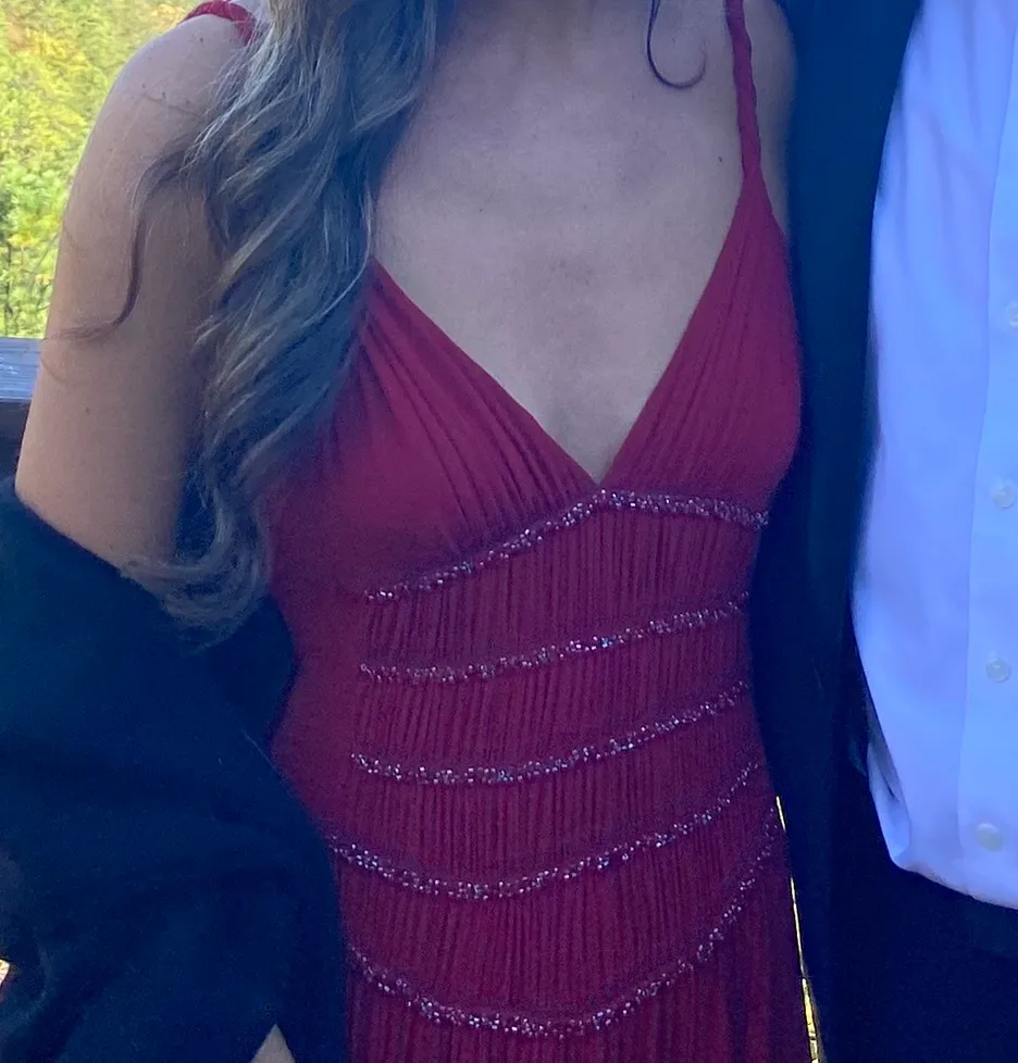 BCBGMAXAZRIA Cranberry Maxi Gown - Image 2