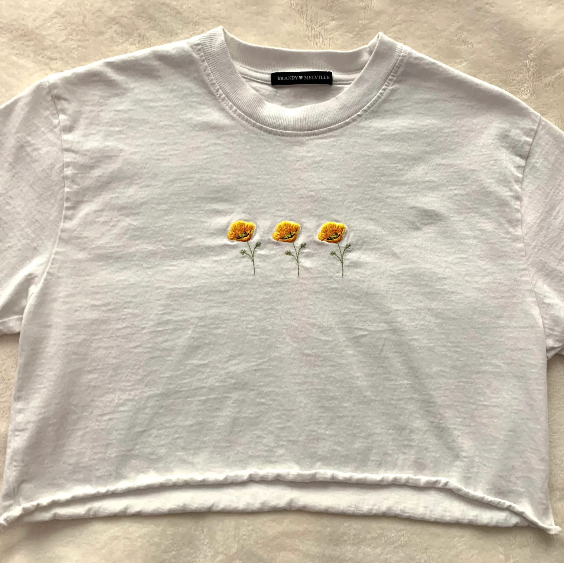 Brandy Melville Cropped Tee - Image 2