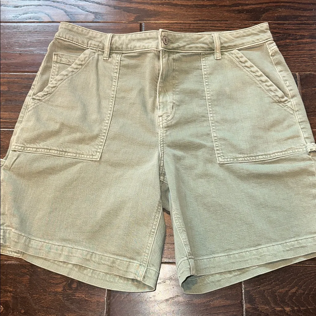 AMERICAN EAGLE green denim carpenter shorts size 16 - Image 8