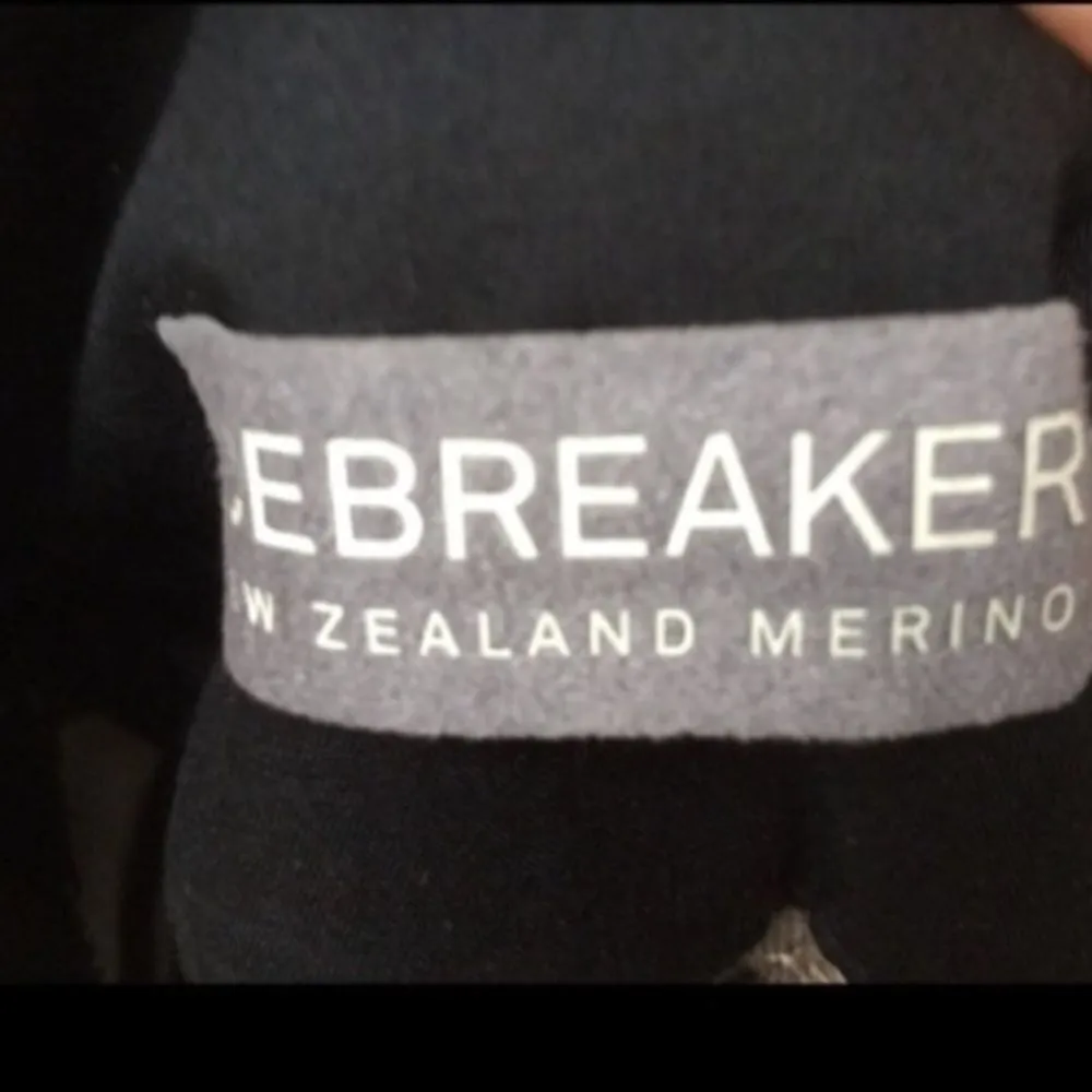 NWT Icebreaker Tan Brown Shorts Brown Size 29 - Image 6