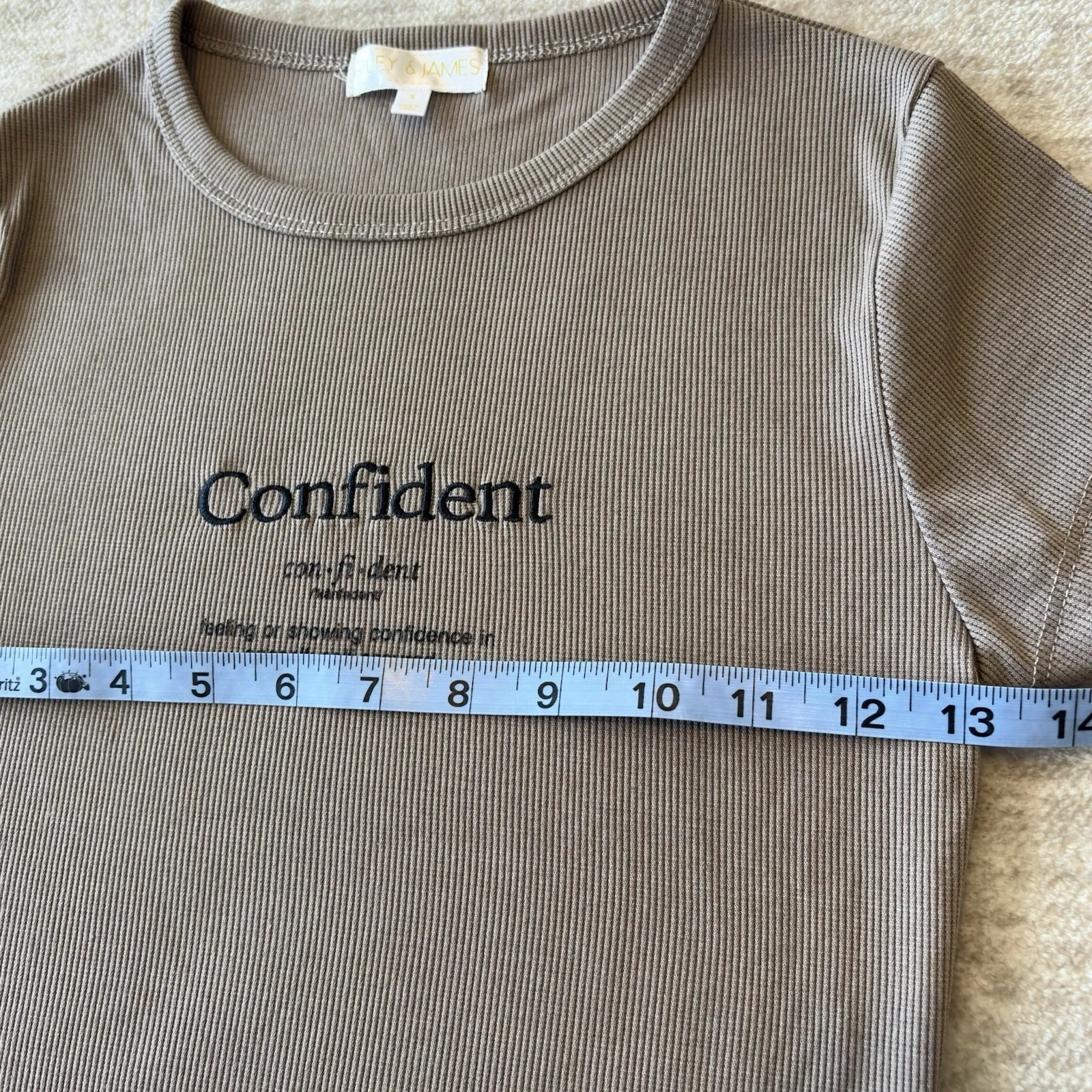 Riley & James Womens Ribbed Top Casual Blouse Short Sleeve Small Mocha Confiden Brown - Image 6