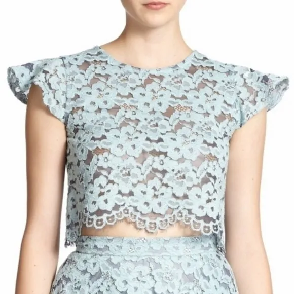 Alexis Tovi Sheer Lace Cropped Top - Image 22