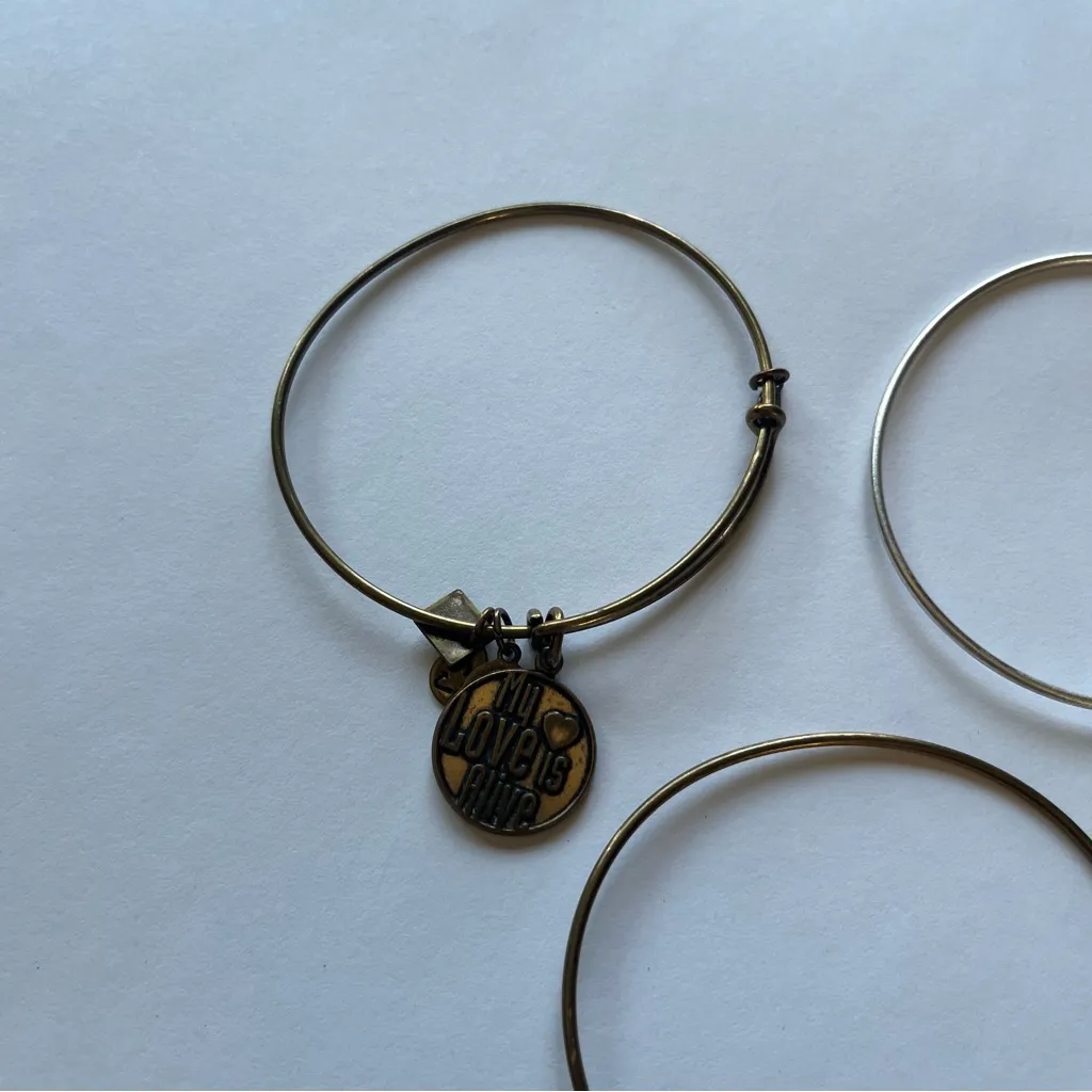 ALEX AND ANI  Assorted Charm Bracelets - Image 5