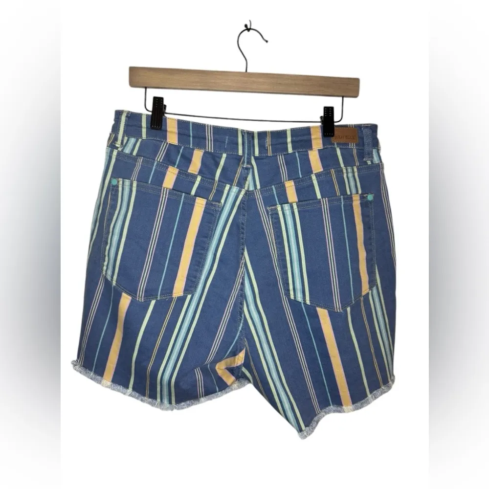 Judy Blue High Waist Frayed Hem Striped Shorts Size 1X - Image 6