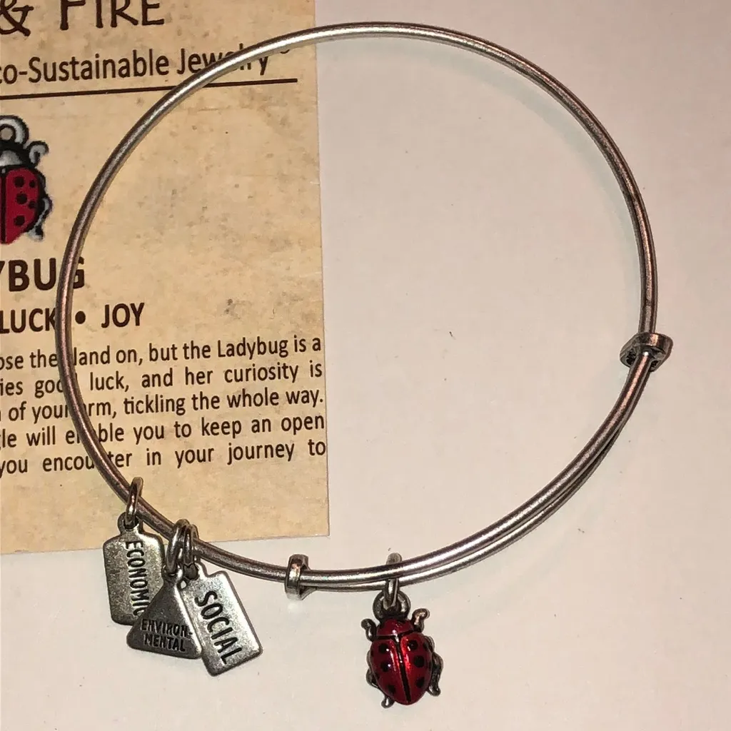 Alex and Ani Silver Tone Ladybug Charm Bracelet - Image 3