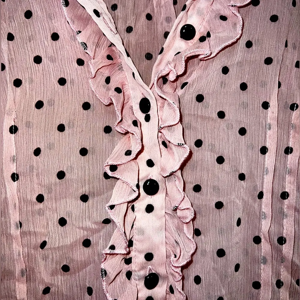 VERVE AMI Pink Sheer Polka Dot Ruffle Blouse | Size L - Image 2