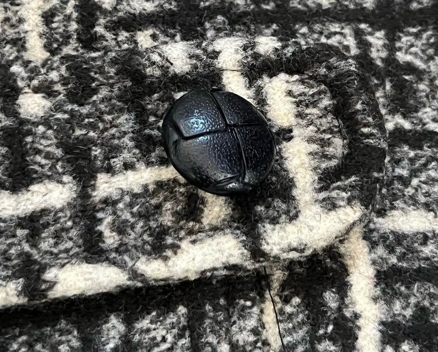 New *flaw Walt Disney Worldwide Services Cast Exclusive Peacoat | Unisex Small - Image 4