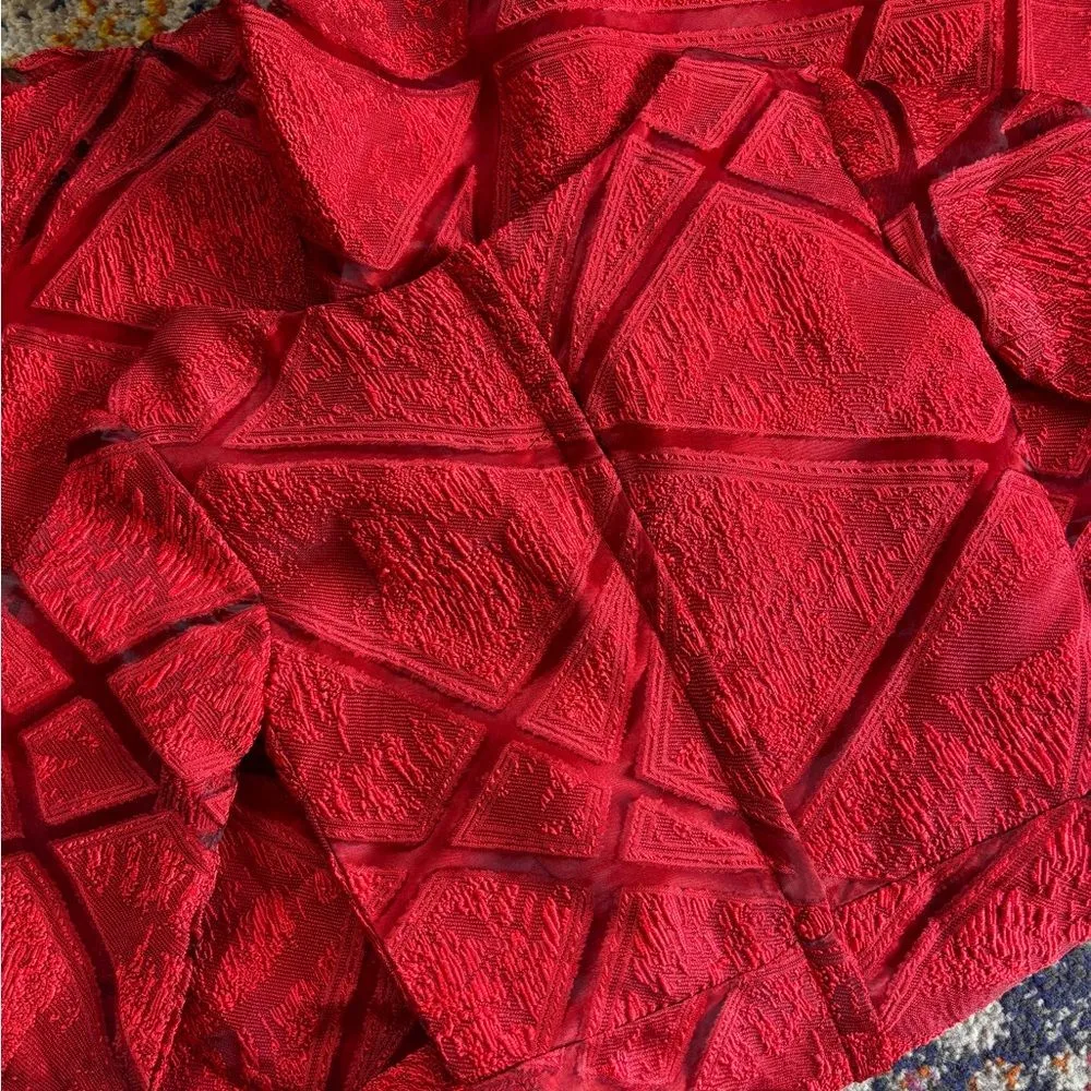 Custom EUC Red Lace Fit & Flare Dress | Padded Bust | Elegant Party Midi - Image 9