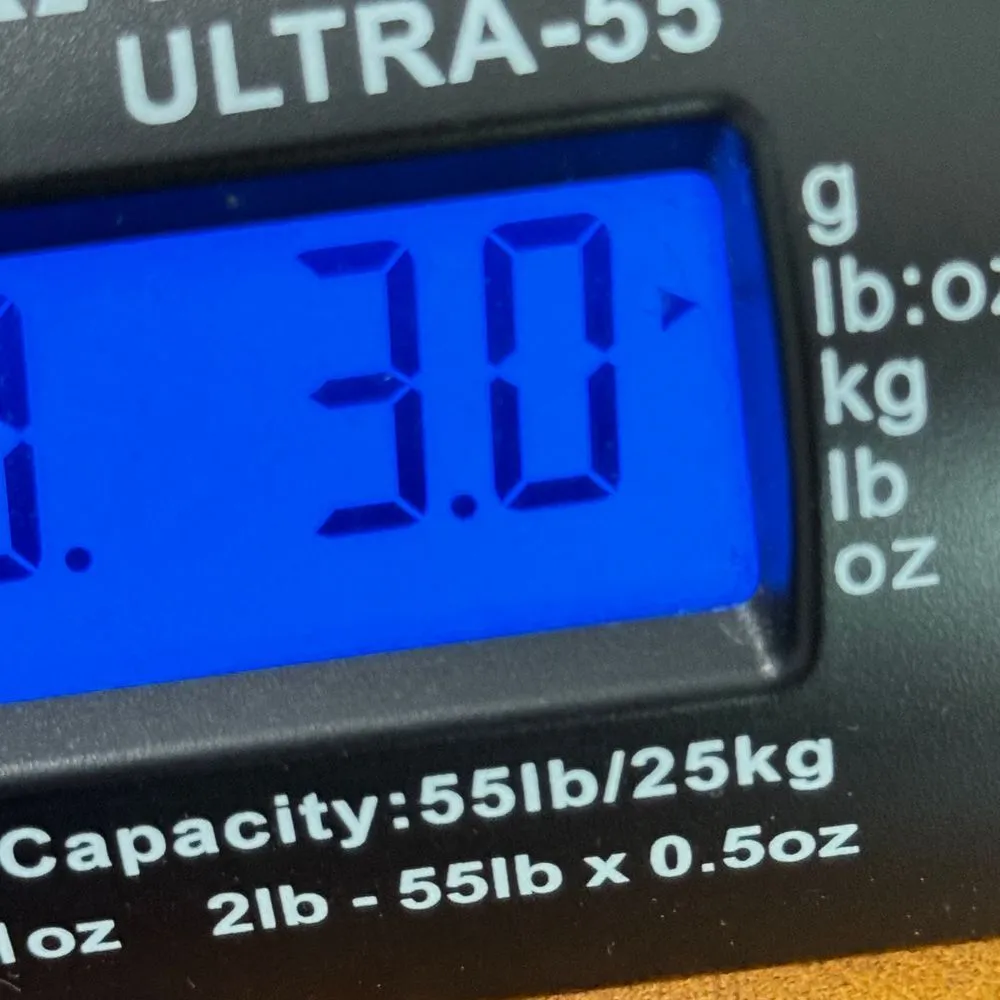 Halo Sleeveless Top Womens Size L Navy Birds Print Cute Preppy Indie Casual Chic Blue Size L - Image 12