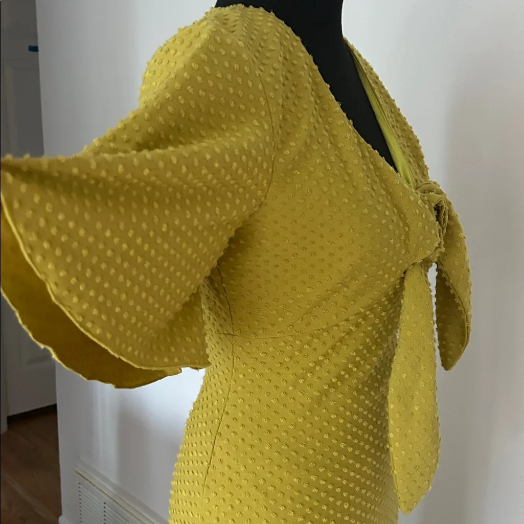 NWOT Revolve Tularosa chase short sleeve midi dress in pear with bow - Image 7