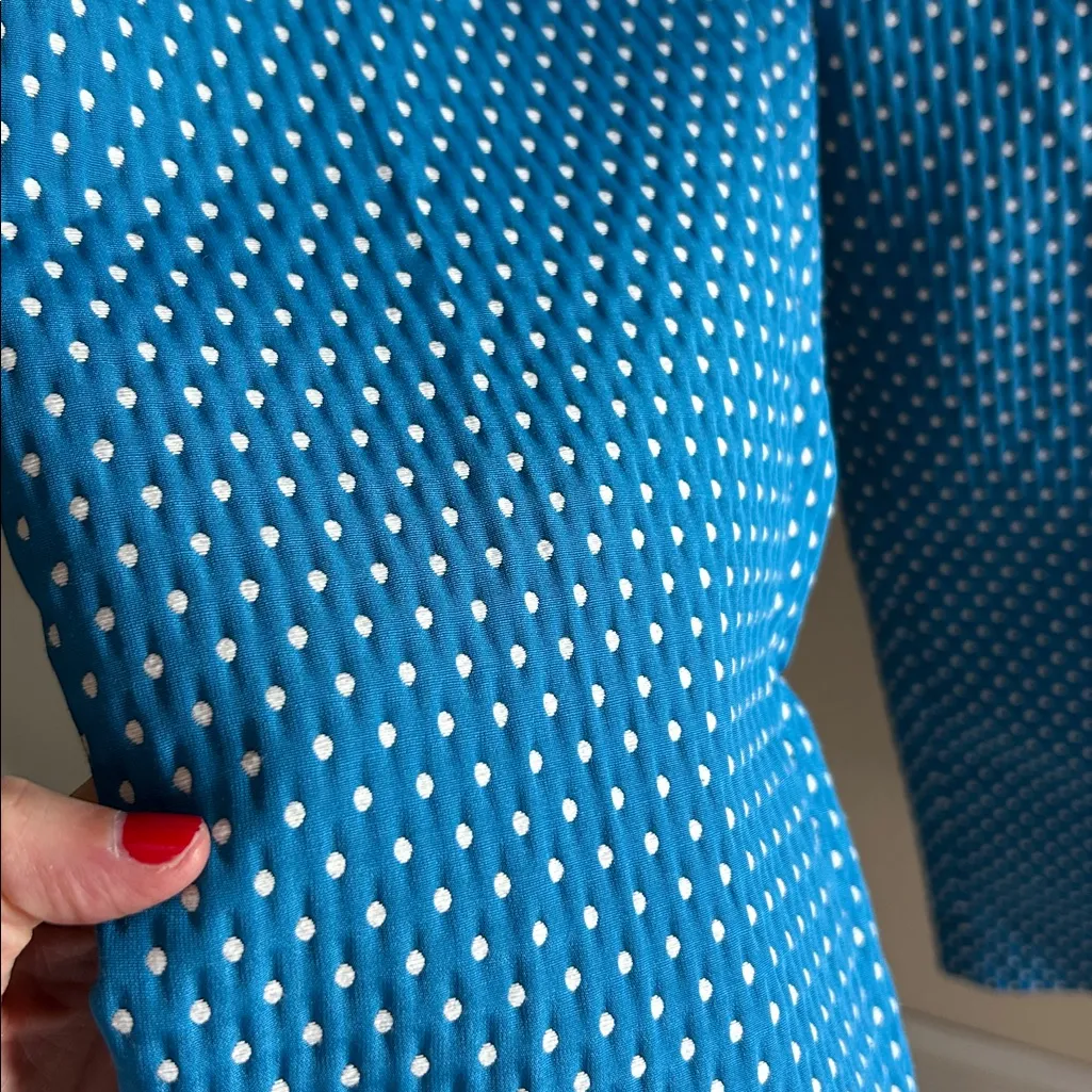 J. Crew Vtg café Capri blue polkadot straight leg trouser pants 6 - Image 4