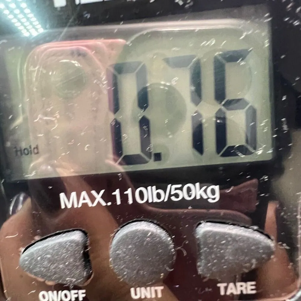 Chicos Shirt Womens M Red Smooth Faux Suede Reza Long Sleeve Minimalist Classic - Image 16