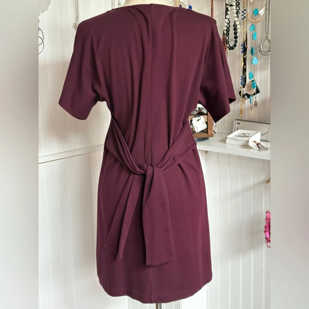 Express Deep Burgundy Midi Dress - Image 4