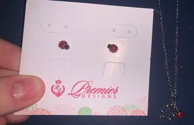 Premier Designs Ladybug Necklace With Earrings  - Image 3