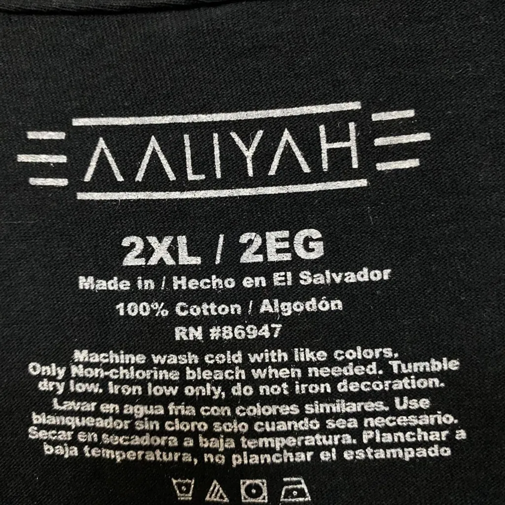 Aaliyah Airbrush Queen of Urban Pop Self-titled Album Tee 2X  - Image 4