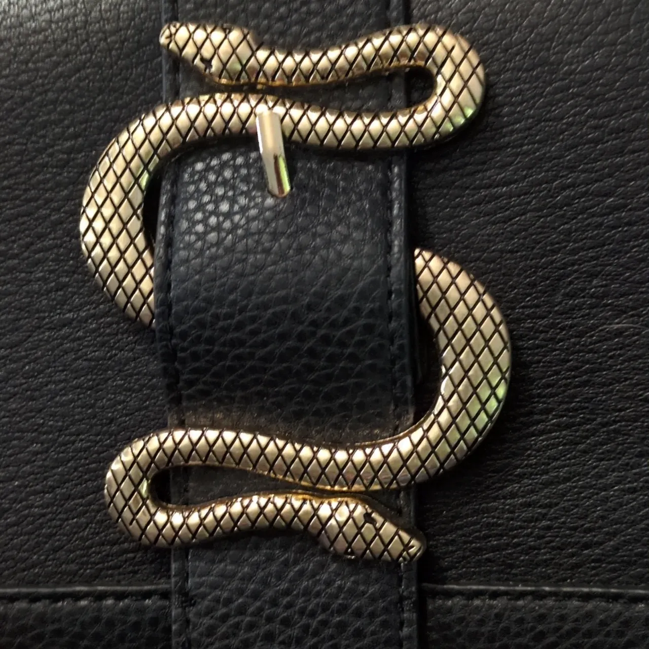 Express double Snake Buckle Chain Strap Crossbody Bag - Image 2