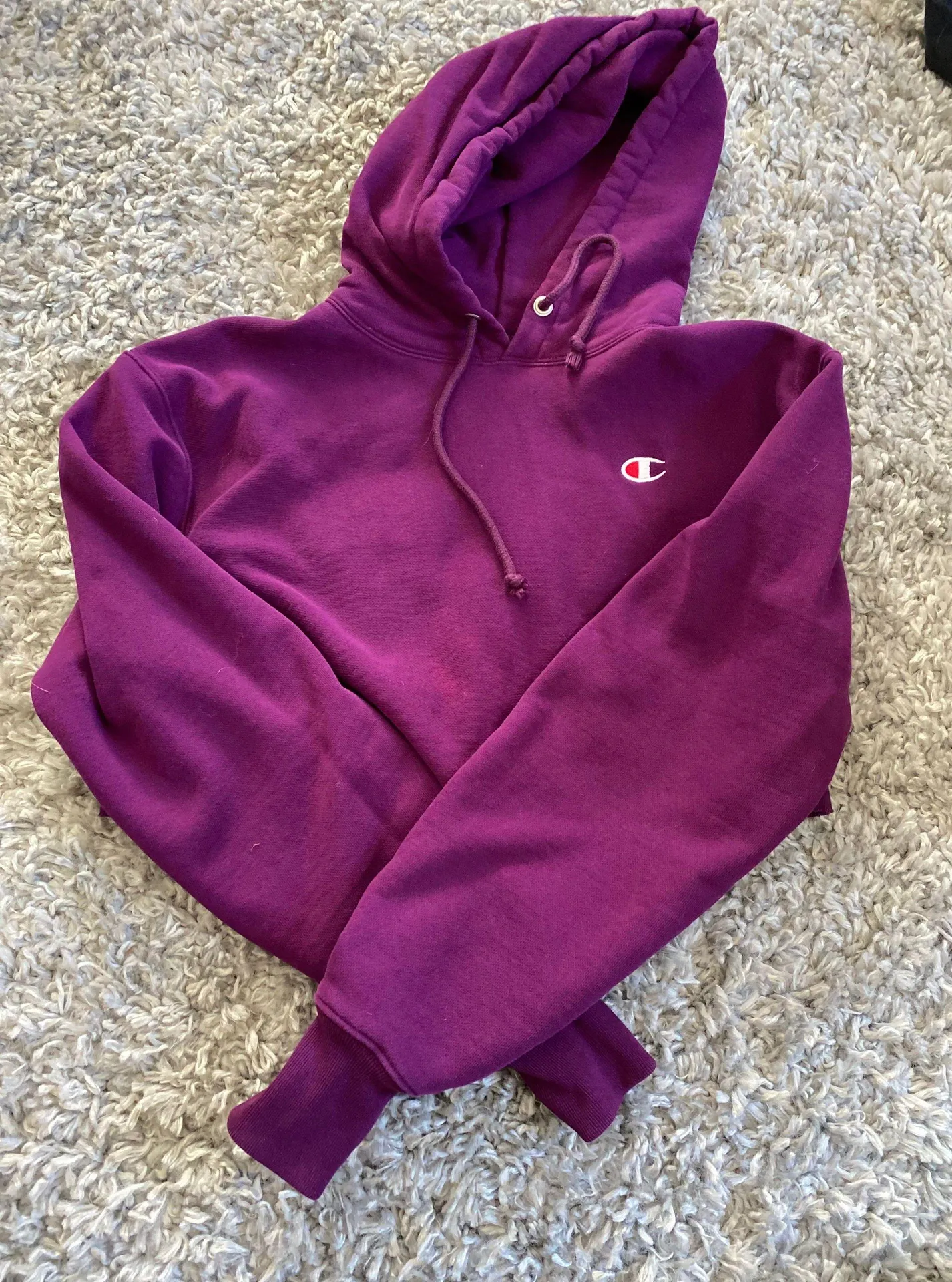 Champion Cropped Sweatshirt - Image 3