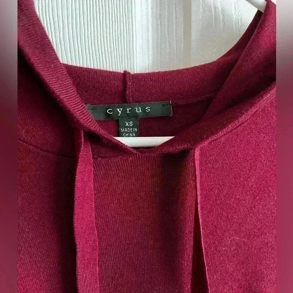 Cyrus Hooded Sweater Burgundy Classic Knit - Image 4