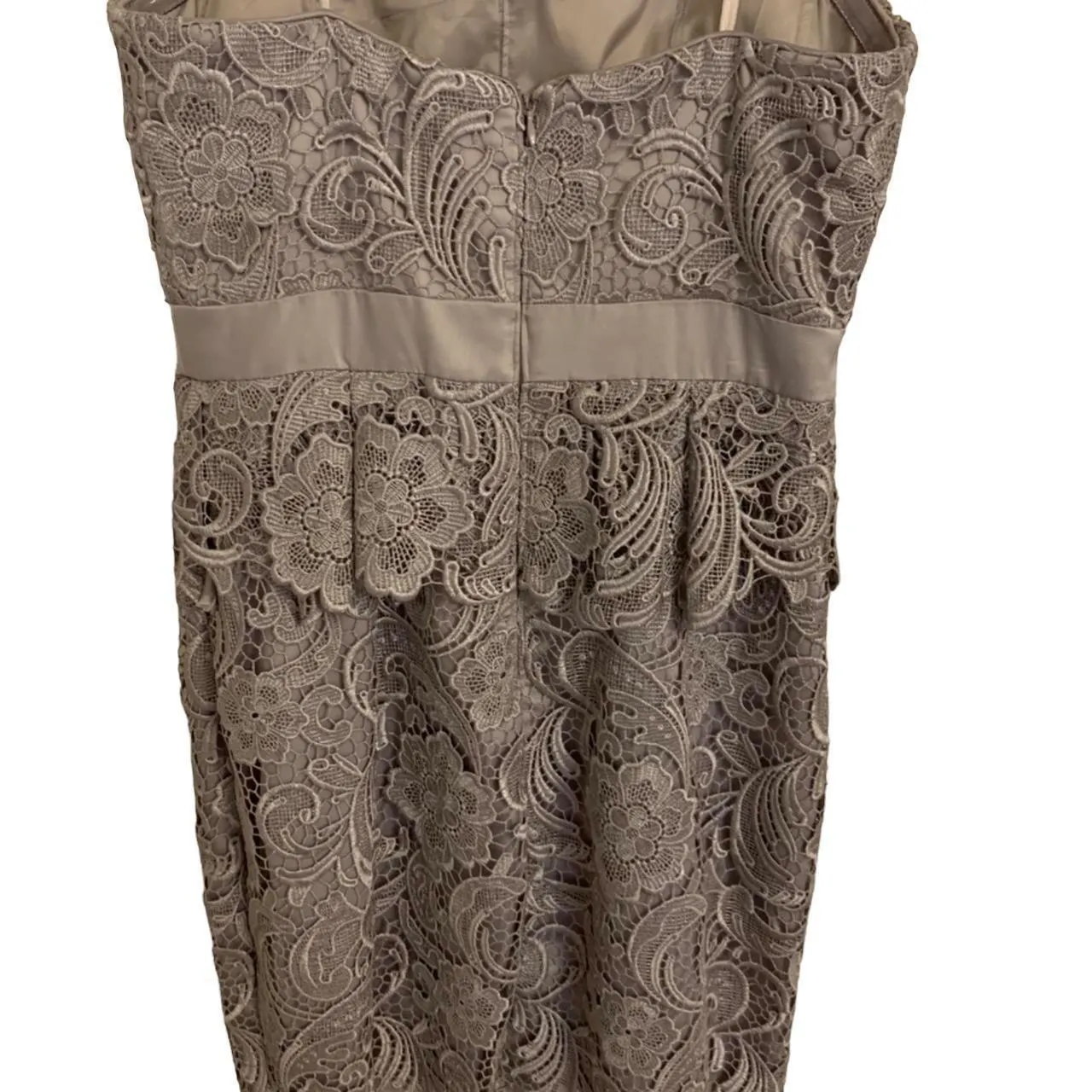 Adrianna Papell  Beige Lace Strapless Dress - Image 3