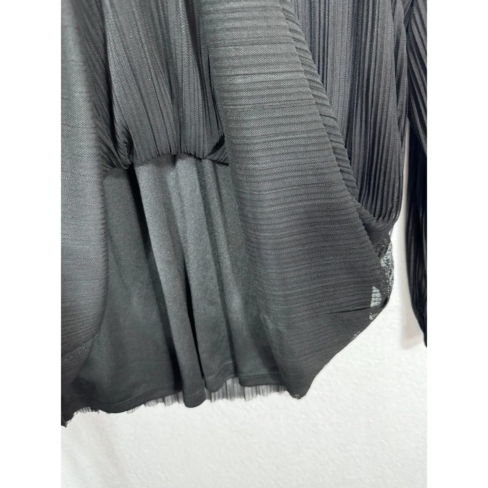 Terra & Sky Pleated Sheer Blouse Black‎ Woolens Plus Size 20W-22W Boho Chic - Image 6