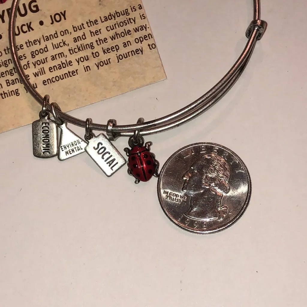 Alex and Ani Silver Tone Ladybug Charm Bracelet - Image 4