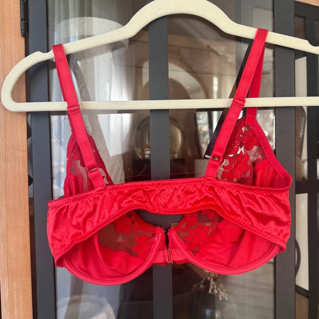 Vintage Dior silk lace bra wiring sheer mesh floral red sexy claspfront lingerie - Image 2
