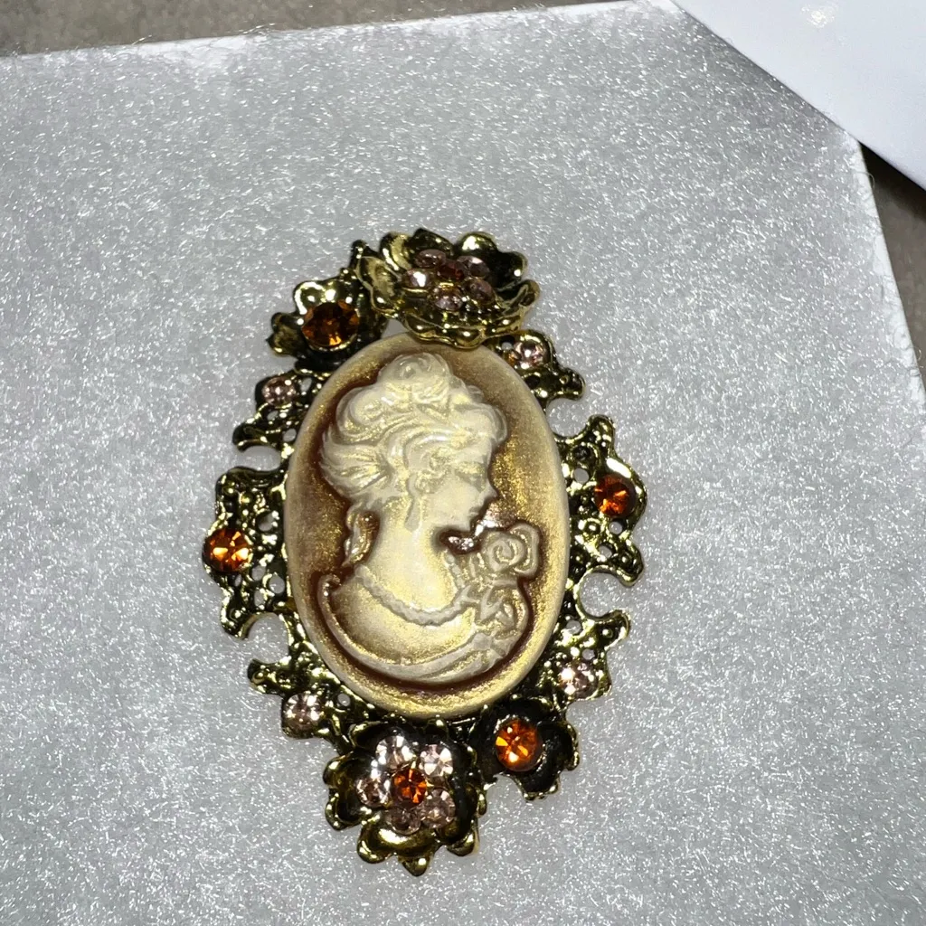 Vintage style 3d Cameo Brooch with Gold Accents - Image 3