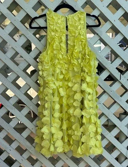 Anthropologie Maeve Sleeveless Floral Appliqué Mini Dress - Image 11