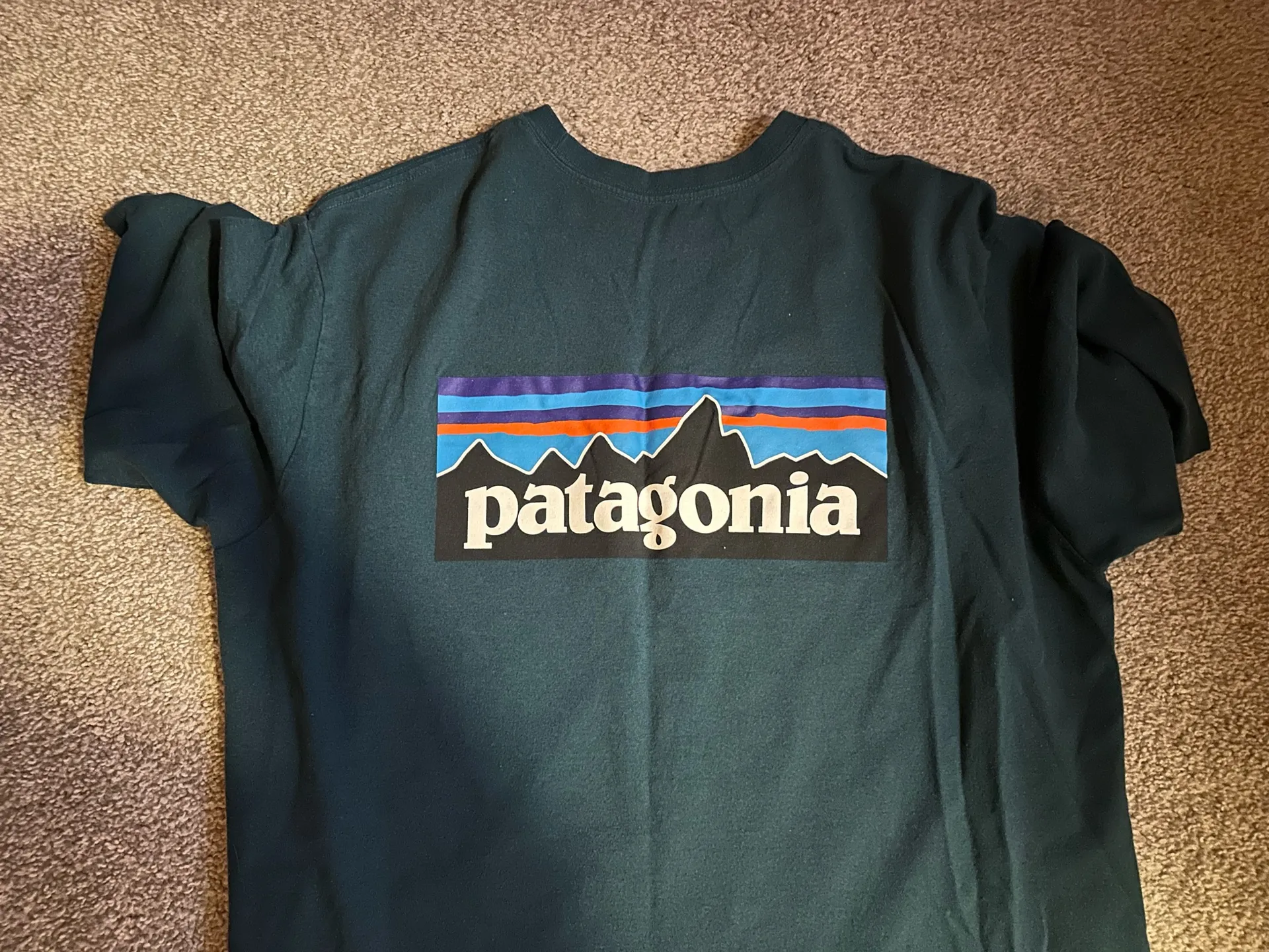 Patagonia  t-shirt  - Image 3
