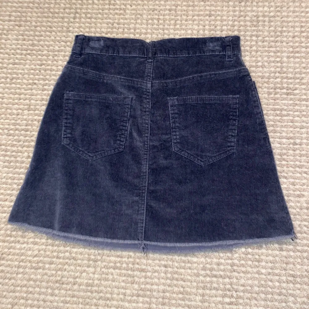 Brandy Melville/John Galt Corduroy Skirt (small) - Image 3