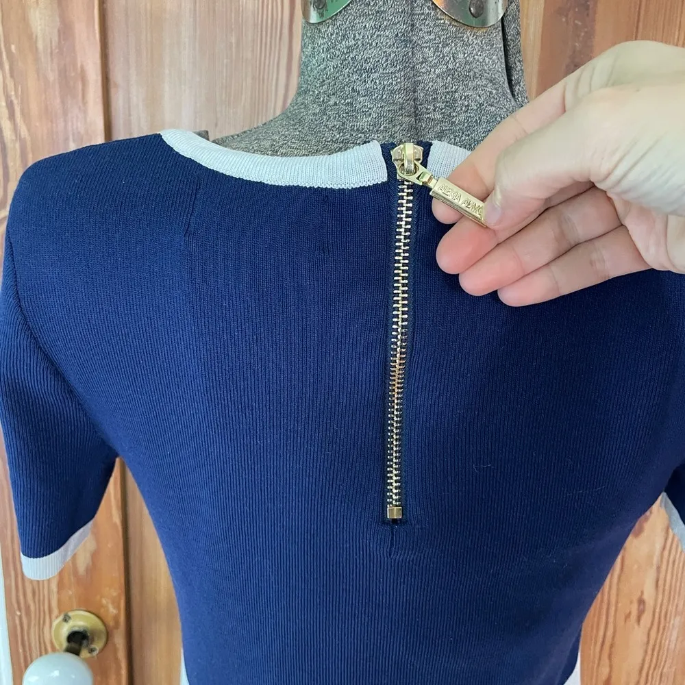 Alexia Admor Serenity Scoopneck Colorblock Knit Dress - Size Small - Image 10