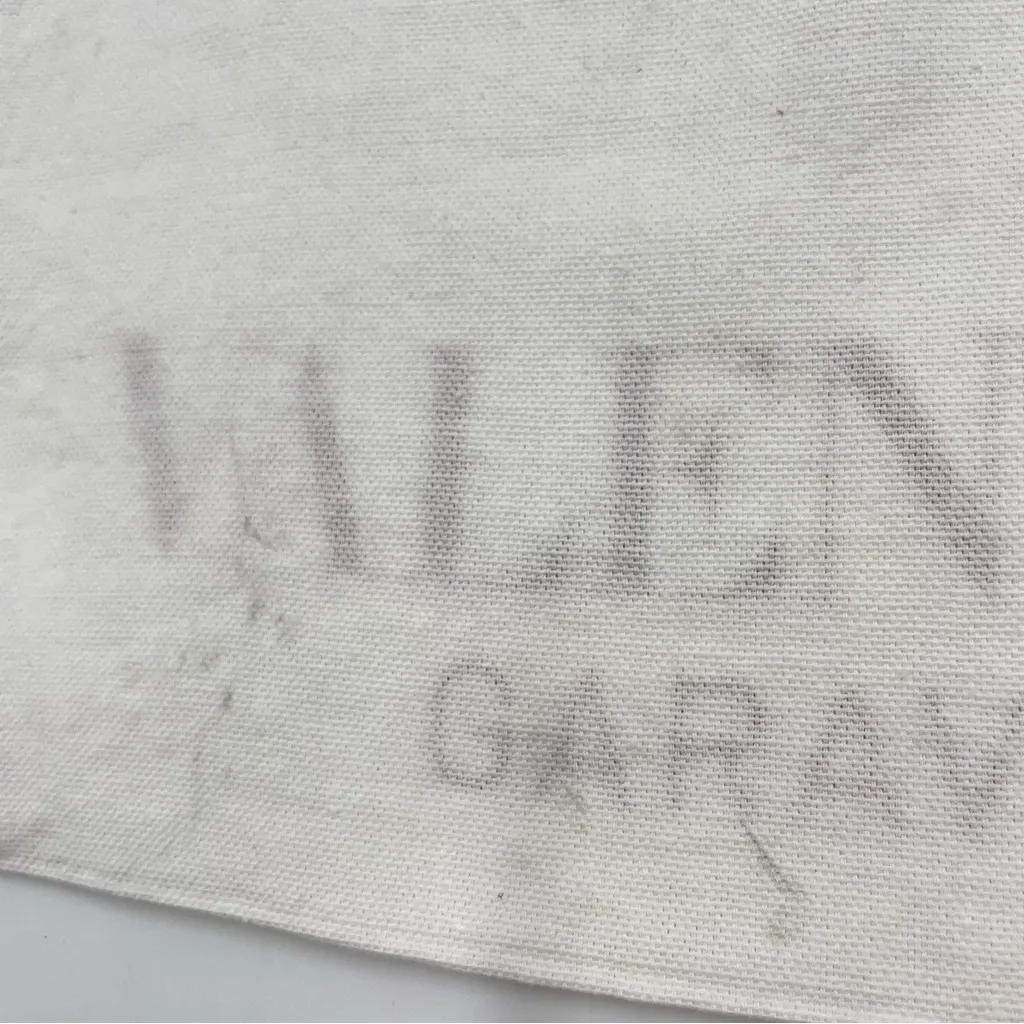 Valentino Garavani Dust Cover Set of 2 Storage 11x12 Bag Shoe Purse White Travel - Image 12