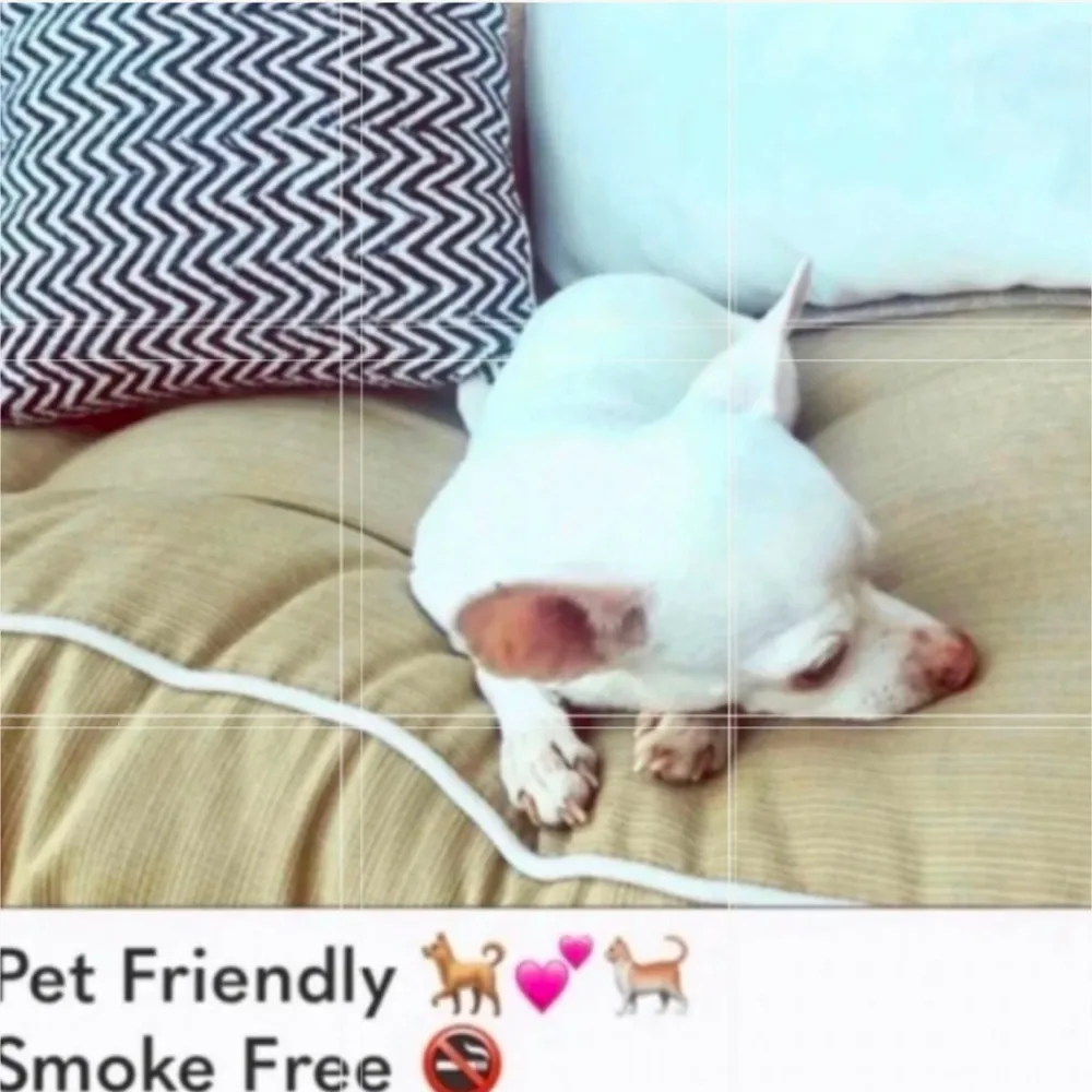 WILDFOX DONT TELL ME HOW TO VOTE IN SIZE LARGE - Image 4