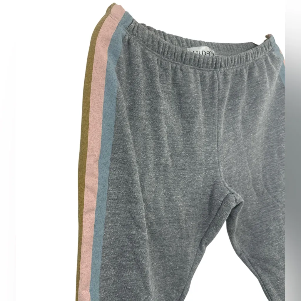 Wildfox Boutique Knox Jogger Pants Soul Striped - Image 3