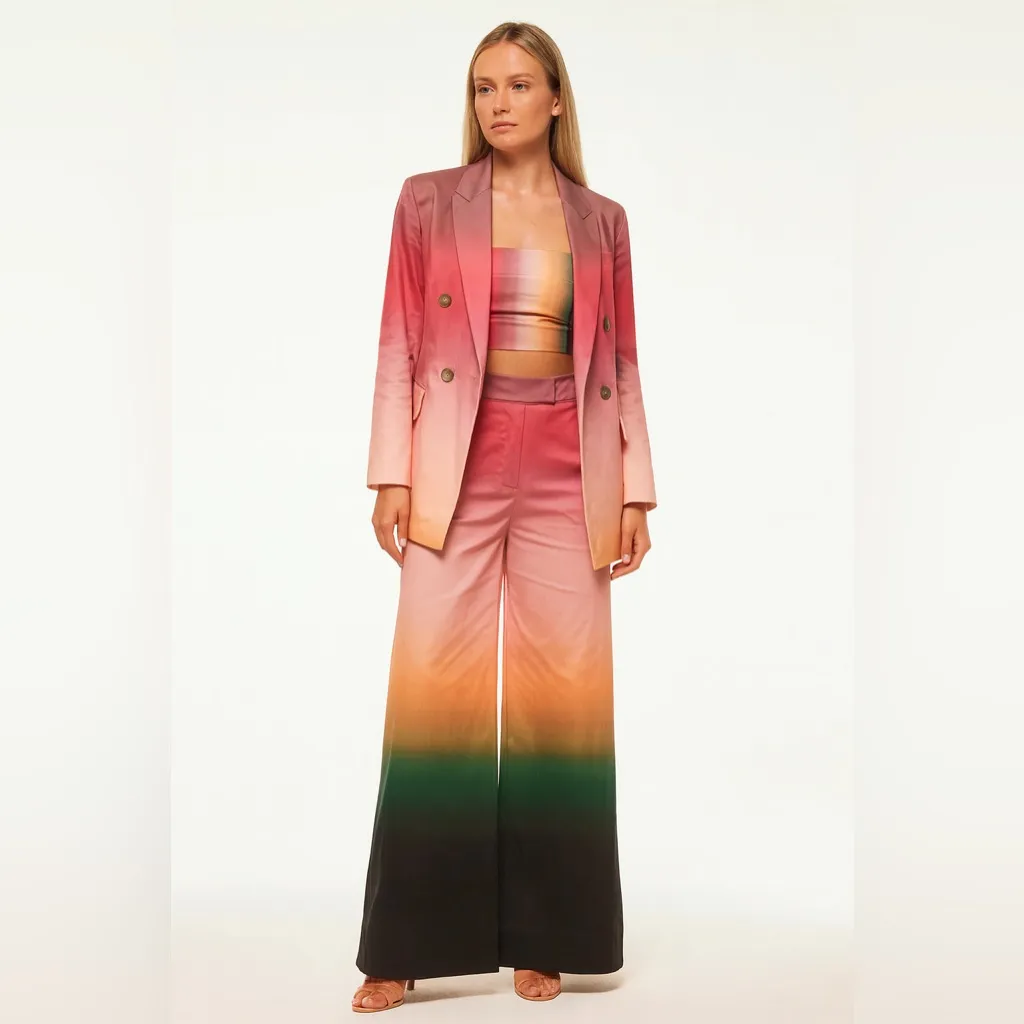 MISA Los Angeles Ombre Wide Leg Pants Size M - Image 3