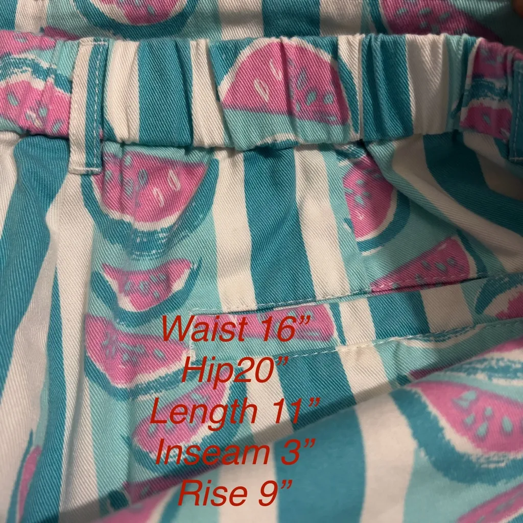 Chubbies Made In USA Watermelon Print Women Twill Shorts Medium M Striped :Box U - Image 10