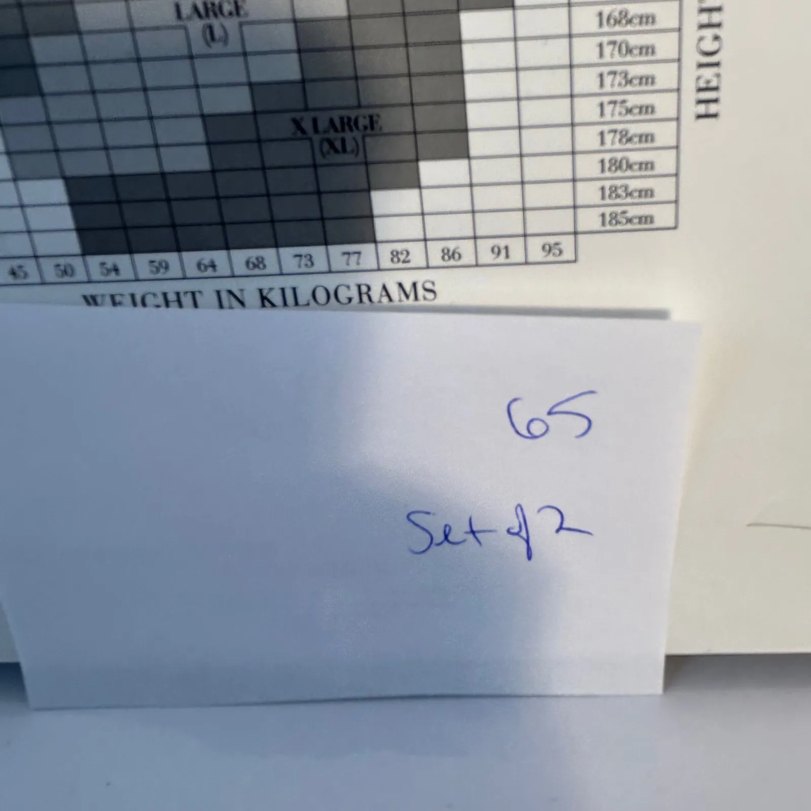 Natori Leopard Mix Sheer Tights Black Size Medium - Image 10