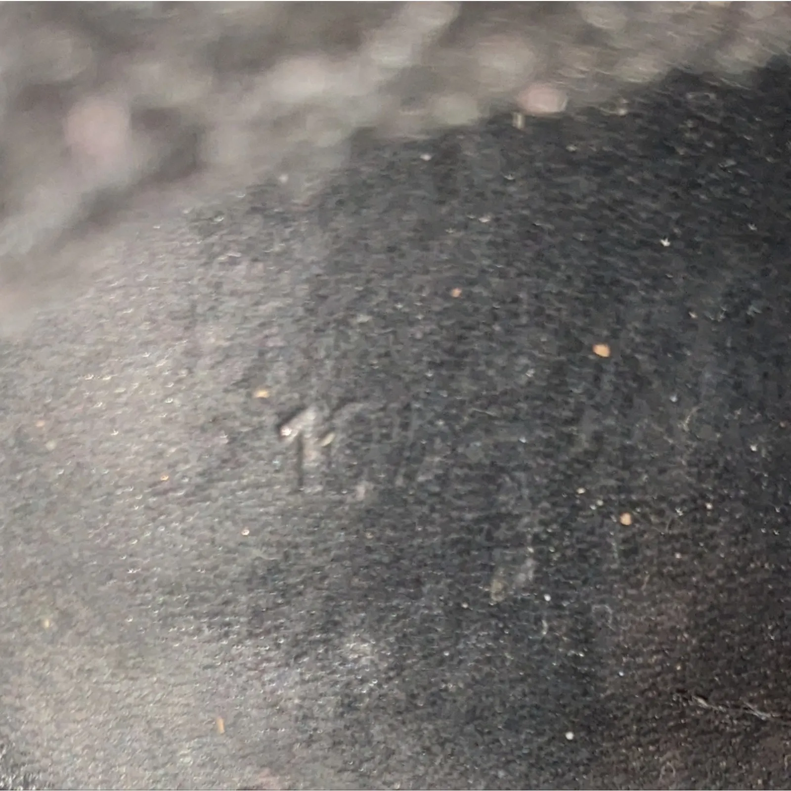 Aquatalia Cameron Ankle Boots Black Faux-Fur-Trimmed Suede Wedge 10.5 - Image 8