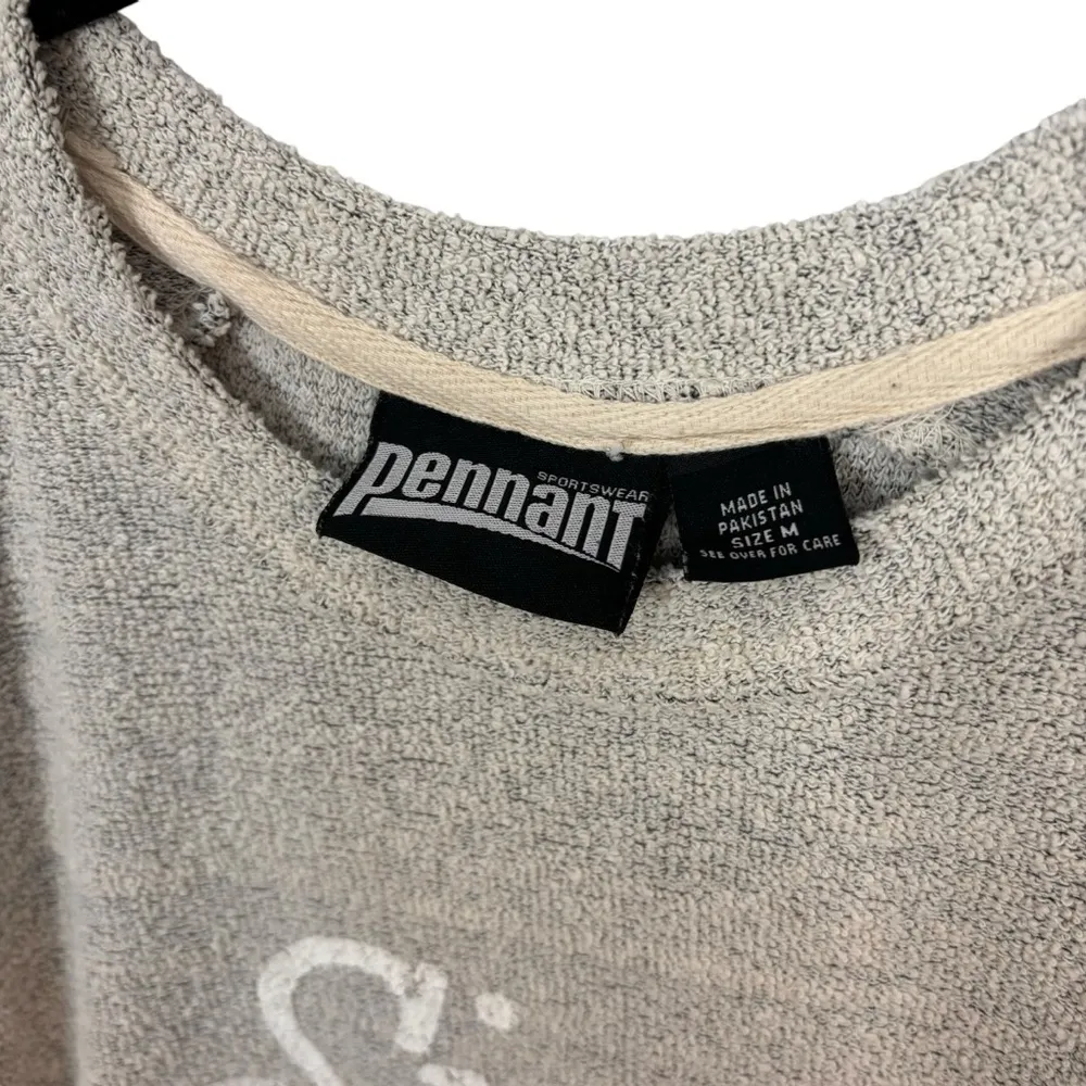 Pennant Sigma Kappa Sorority Greek Life Grey Hoodie Size M - Image 4