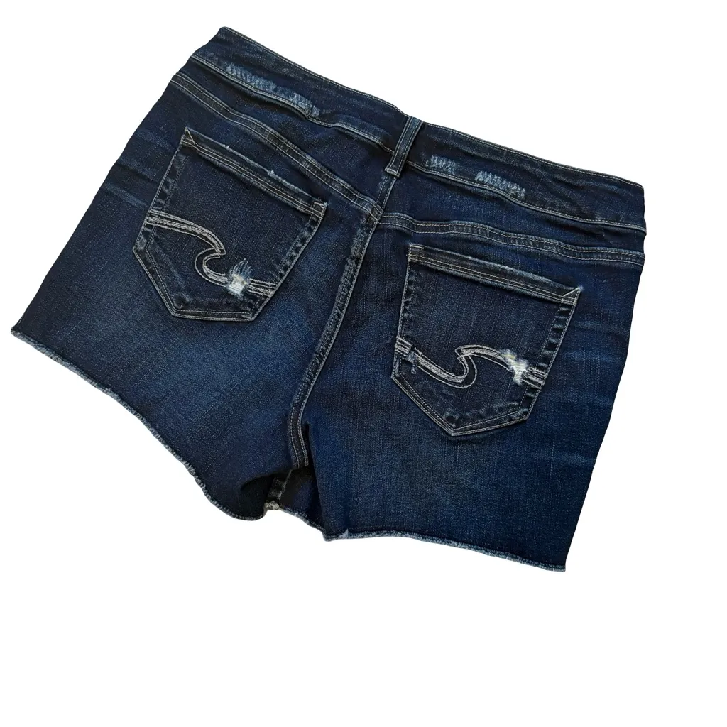 Silver Elyse Stretch Short, Sz 28 - Image 12