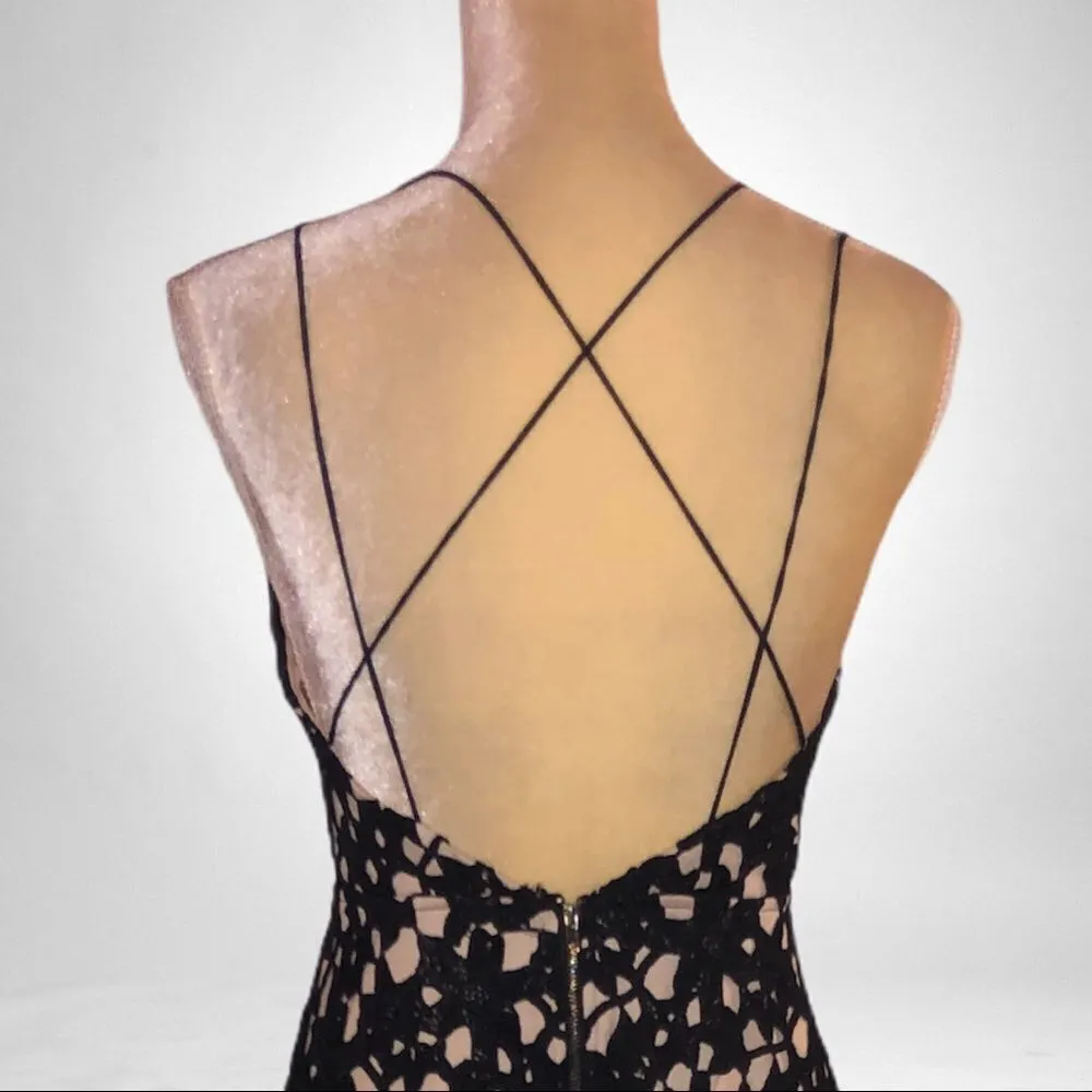 Windsor gorgeous black lace/ nude dress - Image 6