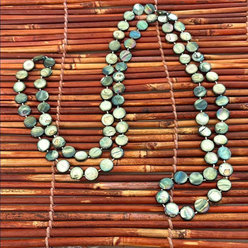 Blue Green Abalone Coin Necklace - Image 3