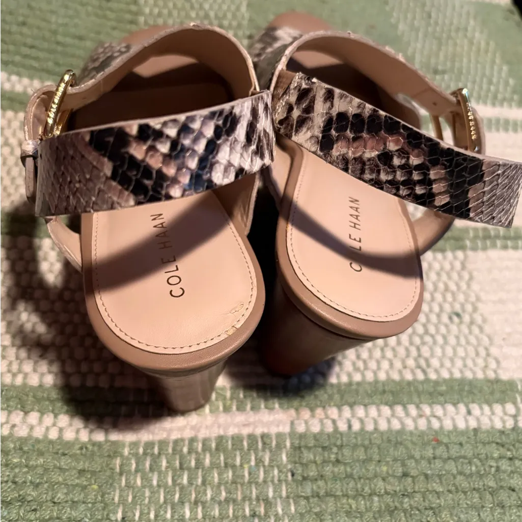 Cole Haan Women's Snakeskin Sandals -‎ Black and Cream - Image 5