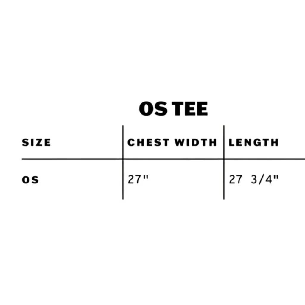 DAYDREAMER Sonny & Cher Cleveland OS Tee in Stone Vintage New with Tag MSRP $98 - Image 7