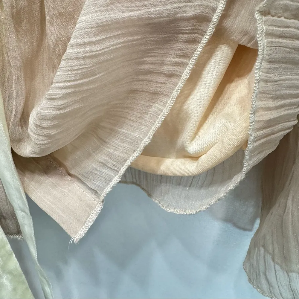 Beige Chiffon Lace Bell Sleeve Top Young Essence Fairy Regency Victorian Medium Tan - Image 10