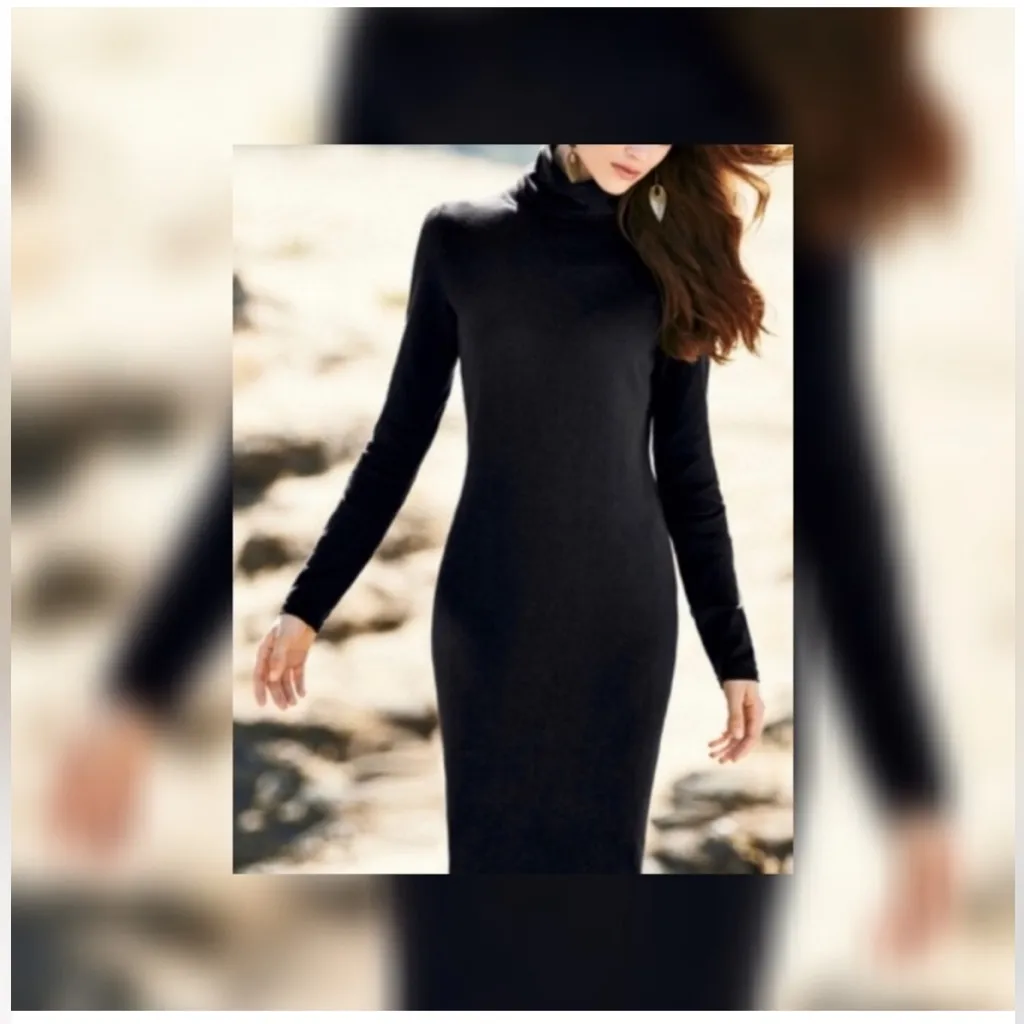 Peruvian connection Elegant Black Turtleneck Dress size xs - Image 2