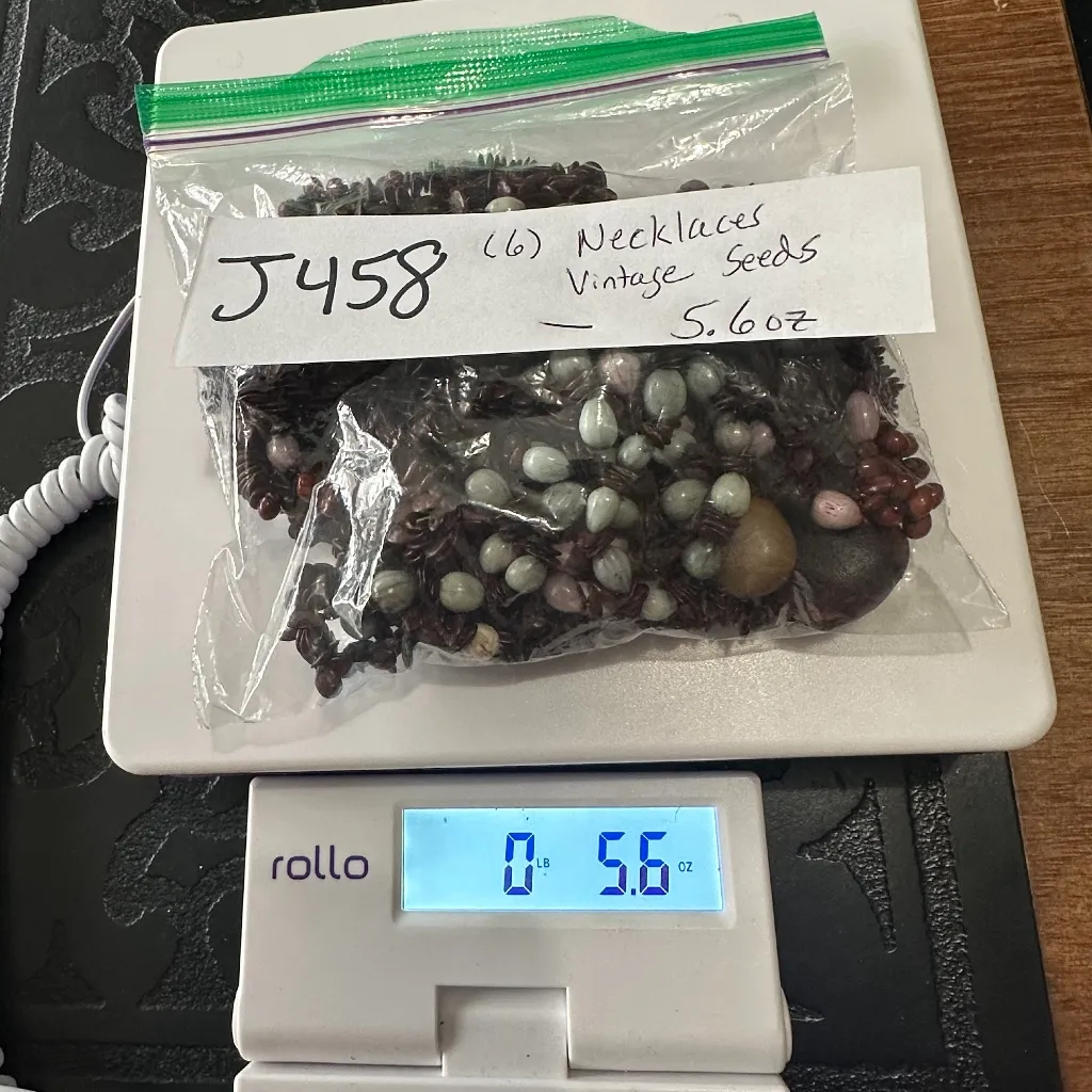 J458 Bulk Bundle of 6 Vintage Seed Necklaces Brown - Image 3