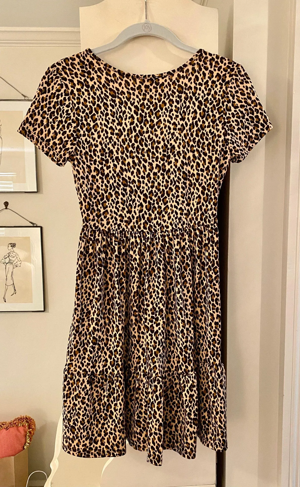 Francesca’s Leopard Mini Dress - Image 2