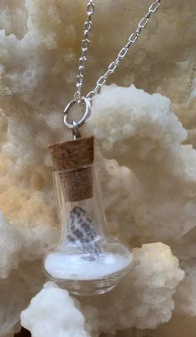 Real Miniature Seashell In Glass Pendant Necklace  - Image 6